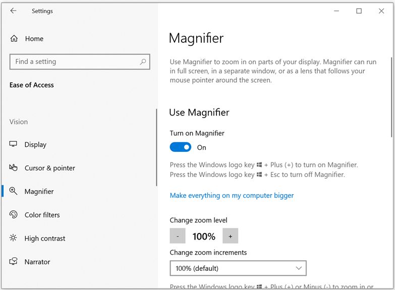 Screenshot of accessibility option to turn on the Magnifier function.