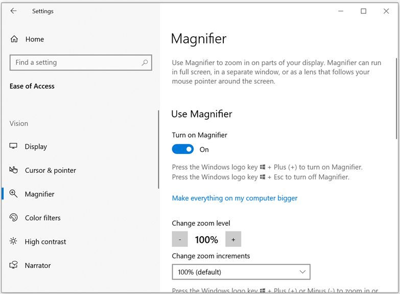 Accessibility Option for Magnifier Screenshot of accessibility option to turn on the Magnifier function.