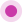 oval-icon